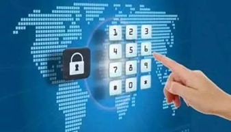 大腦掃描有助判斷經濟行為風險傾向，人血竟能“毒殺”蚊子丨科技早新聞